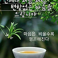 '출석요' 글에 포함된 이미지