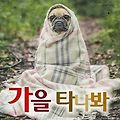 '출석합니다' 글에 포함된 이미지