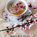 '출석합니다즐건마음으' 글에 포함된 이미지