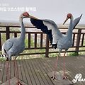 '출석합니다' 글에 포함된 이미지