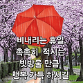 '출석합니다 ' 글에 포함된 이미지