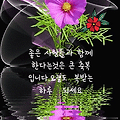 '메마른 대지를 촉촉이' 글에 포함된 이미지