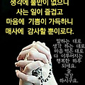 '출석합니다 ' 글에 포함된 이미지