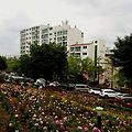'출석합니다 ^./~' 글에 포함된 이미지