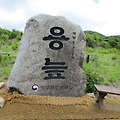 '안녕하세요,연일 무더' 글에 포함된 이미지