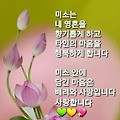'♡' 글에 포함된 이미지