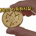 '출석합니다' 글에 포함된 이미지