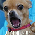 '출석합니다' 글에 포함된 이미지