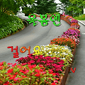 '출석 합니다 즐거운 ' 글에 포함된 이미지