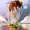 '4월이 시작되었습니다' 글에 포함된 이미지