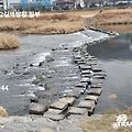 '화요일출석합니다.' 글에 포함된 이미지