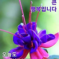 '출석합니다' 글에 포함된 이미지