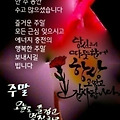 '♡━♥ 토요일은 ┃토' 글에 포함된 이미지