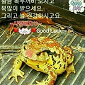 '아직 큰 실패를 해보' 글에 포함된 이미지