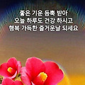 'ㆍ' 글에 포함된 이미지