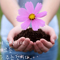 '출석합니다좋은 하루 ' 글에 포함된 이미지