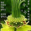 '눈에서 멀어지면 마음' 글에 포함된 이미지