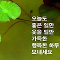'ㆍ' 글에 포함된 이미지