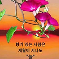 '나를 곤경에 빠뜨리는' 글에 포함된 이미지