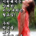 '출석합니다' 글에 포함된 이미지