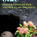 '출석합니다' 글에 포함된 이미지