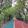 '9월에도 더위가 계속' 글에 포함된 이미지
