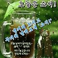 '출석합니다' 글에 포함된 이미지