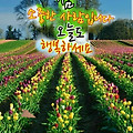 'ㆍ' 글에 포함된 이미지