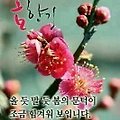 '출석 합니다 행복가득' 글에 포함된 이미지