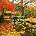 '출석합니다' 글에 포함된 이미지