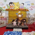 '출석합니다~~!!행복한' 글에 포함된 이미지