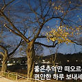 '.' 글에 포함된 이미지