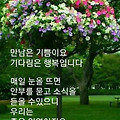 '한주의 중간인 수요일' 글에 포함된 이미지