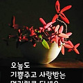 '.' 글에 포함된 이미지