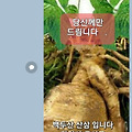 '몹시춥습니다보온 유' 글에 포함된 이미지