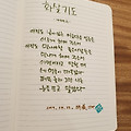 '평안을 빕니다♡티벳' 글에 포함된 이미지