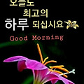 '.' 글에 포함된 이미지