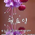 '♡' 글에 포함된 이미지