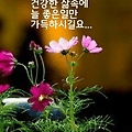 '재능이 뛰어난 베스트' 글에 포함된 이미지