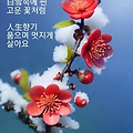 '월요일 새벽에 출석합' 글에 포함된 이미지
