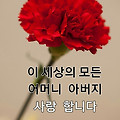 '어버이 은혜 감사합니' 글에 포함된 이미지