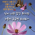 '무더운 날씨 단비가 ' 글에 포함된 이미지