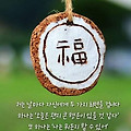 '출석합니다' 글에 포함된 이미지