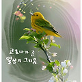 '출석합니다' 글에 포함된 이미지