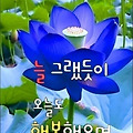 '.' 글에 포함된 이미지