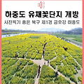 '걷기 좋은 계절 건강' 글에 포함된 이미지