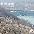 '산수유 꽃망울피는날' 글에 포함된 이미지