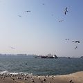 '출석합니다 ^./~' 글에 포함된 이미지
