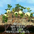 '9월첫날도 수고들하셨' 글에 포함된 이미지