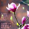 '산뷸에 많은피해가 발' 글에 포함된 이미지